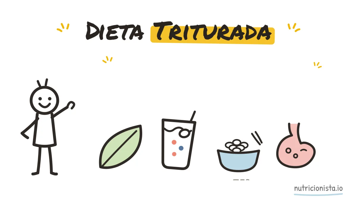 Dieta Triturada