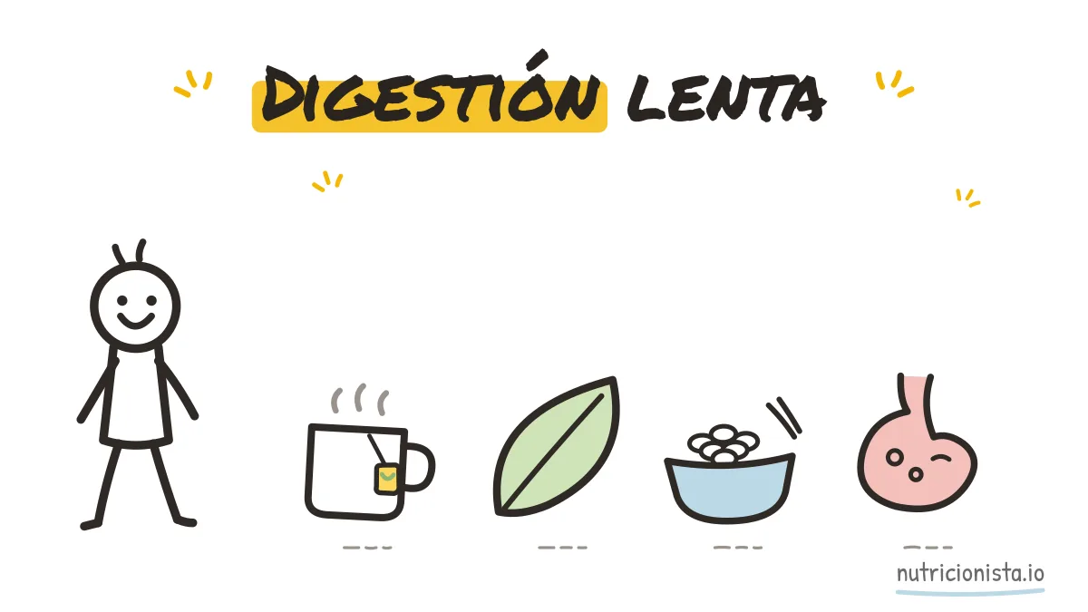 Digestión lenta