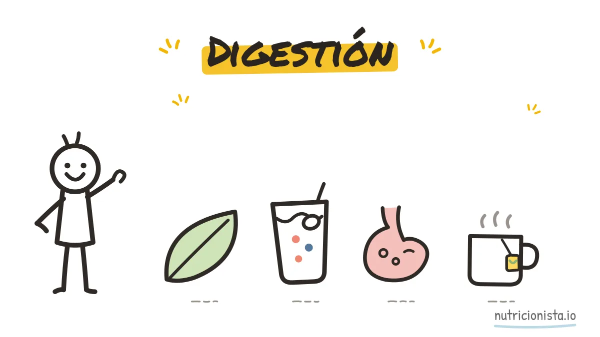Digestión