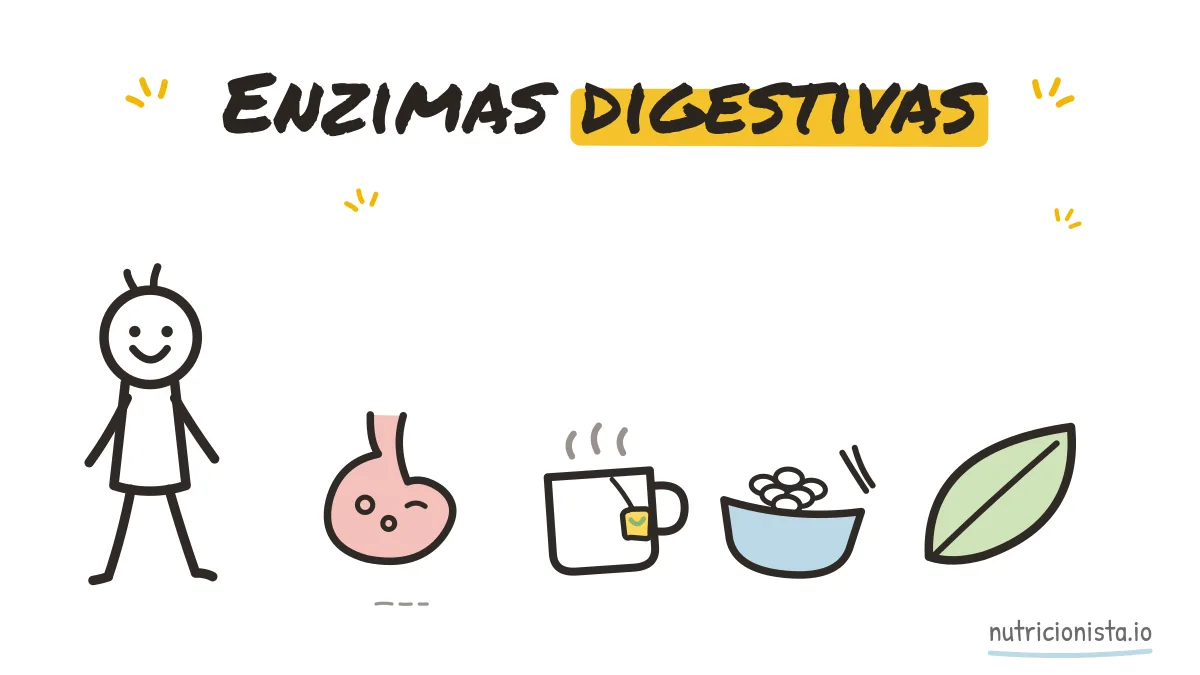 Enzimas digestivas