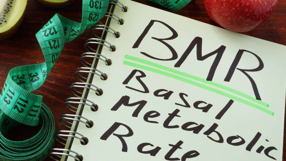 Dieta basal hospitalaria​