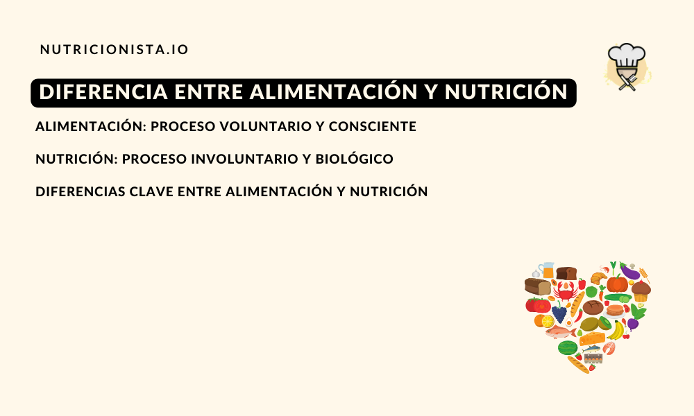 Diferencia entre alimentación y nutrición